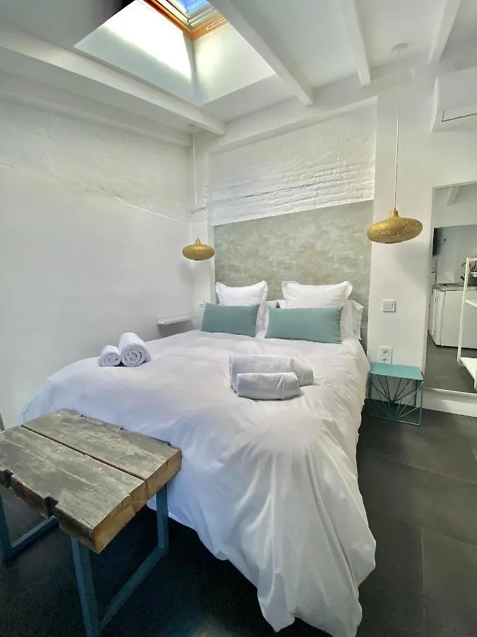 Apartment Atico Suite Con Terraza Totalmente Privada En Pleno Centro Historico De Sevilla